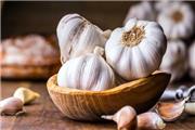 سیر پر خاصیت عوارضی هم دارد