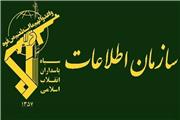 تیم فعال در زمینه ریزپرنده‌ها در چهارمحال و بختیاری شناسایی و بازداشت شد