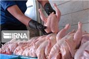 هیچ مشکل و کمبودی در تامین مرغ گوشتی مورد نیاز مردم وجود ندارد