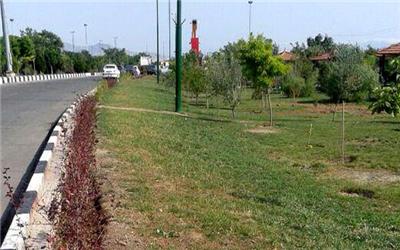 آماده سازی بولوار 22 بهمن برای برگزاری جشنواره تابستانی کرمان