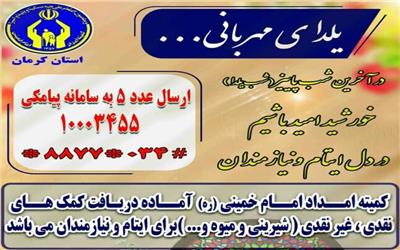 رشد 250 درصدی کمک‌های مردمی طرح یلدا