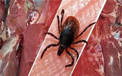فوت یک شهروند زاهدانی با علائم بیماری کنگو