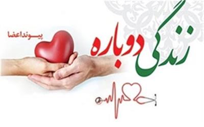 جوان رفسنجانی نجات‌بخش 4 بیمار شد