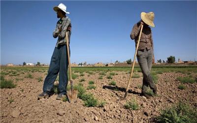 قطعی برق در دمای 45 درجه جنوب کرمان و خاموشی پمپ‌های کشاورزی