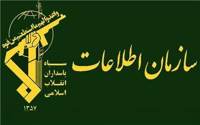 تیم فعال در زمینه ریزپرنده‌ها در چهارمحال و بختیاری شناسایی و بازداشت شد