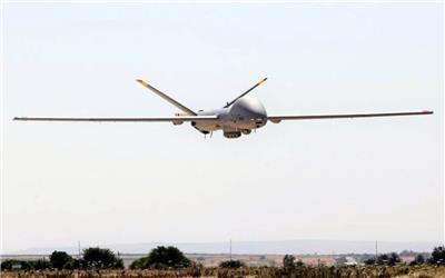 فرمانده نزاجا: توسعه یگان‌های واکنش سریع پهپادی در جنوب شرق کشور انجام شد