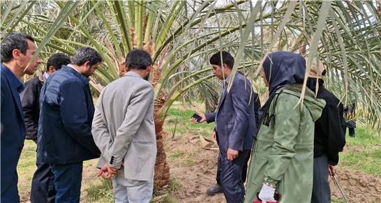 مانوری بر ای دفع افات در فهرج‌
