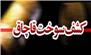 جاسازی 19 هزار لیتر گازوئیل قاچاق زیر بار علوفه