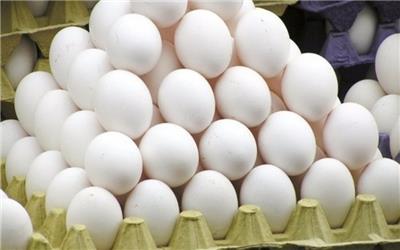 آزادسازی صادرات تخم مرغ در راستای حمایت از تولید داخل
