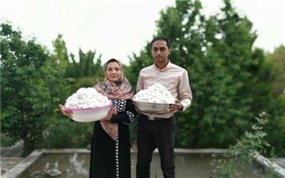 پیله‌های پردرآمد در رابر کرمان