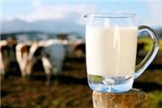 کنترل سلامت شیر خام در مراکز عرضه فرآورده‌های دامی در انار