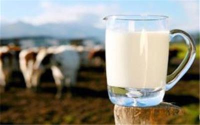 کنترل سلامت شیر خام در مراکز عرضه فرآورده‌های دامی در انار
