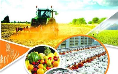 افتتاح 162 پروژه کشاورزی در جنوب کرمان