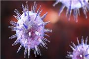 تحقیق جدید: دهانشویه ویروس کرونا را از بین می برد