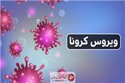 آخرین آمار از وضعیت ویروس کرونا در کرمان