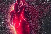 تشخیص بروز سکته قلبی از نمونه خون تا 10 روز بعد از ایجاد آسیب