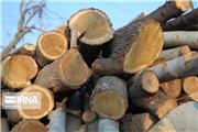 15 تن چوب قاچاق در جیرفت کشف شد