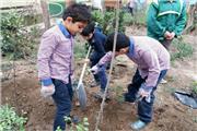 طرح هر مدرسه یک نهالستان در کرمان